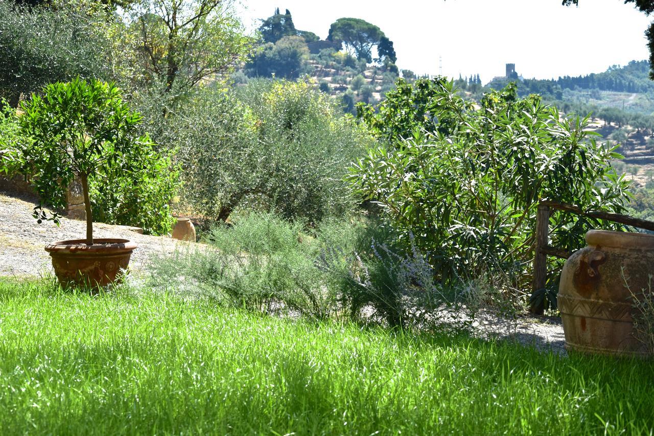 Palazzina Del Chiasso Bed & Breakfast San Martino in Freddana Luaran gambar