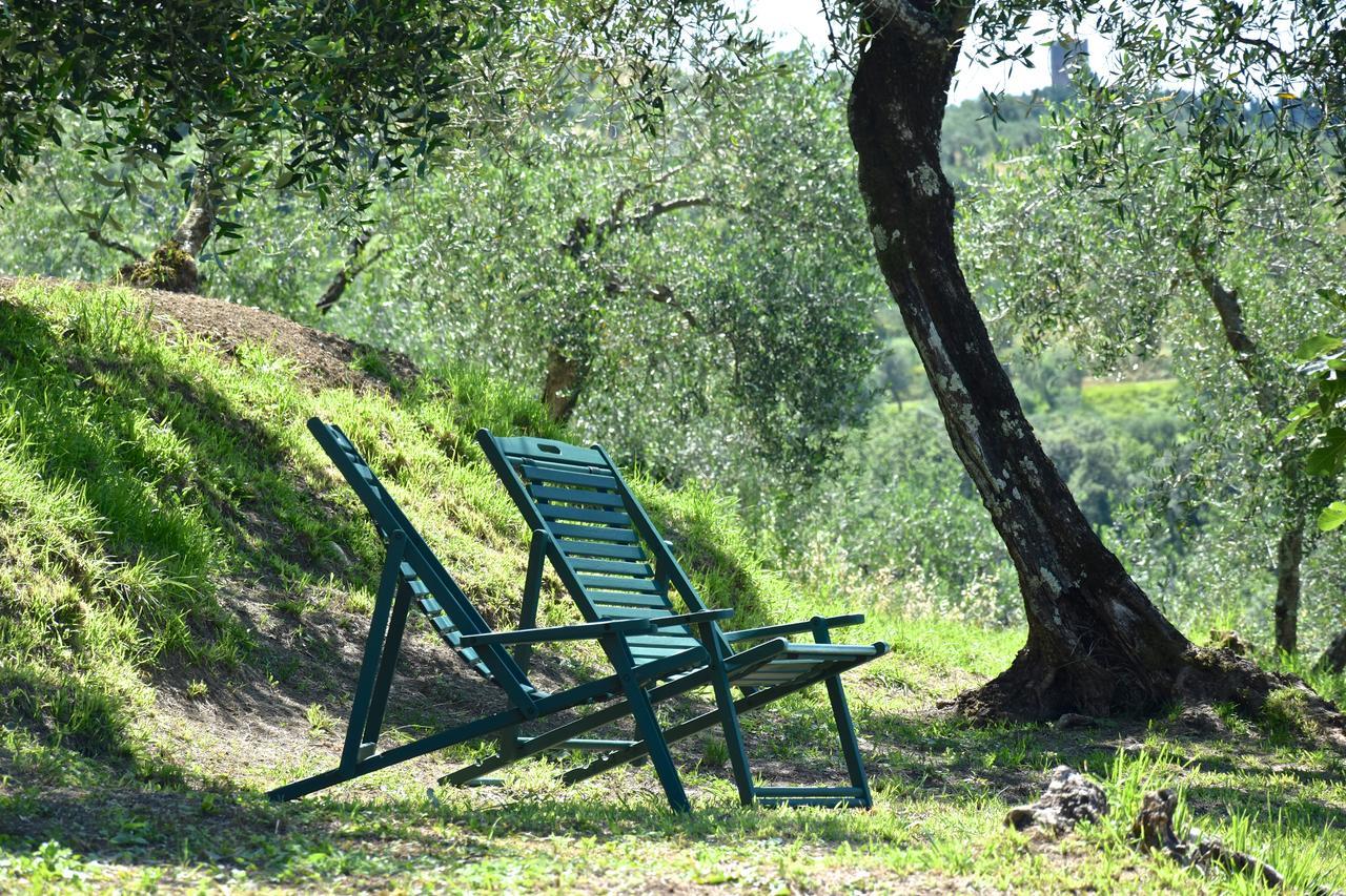 Palazzina Del Chiasso Bed & Breakfast San Martino in Freddana Luaran gambar
