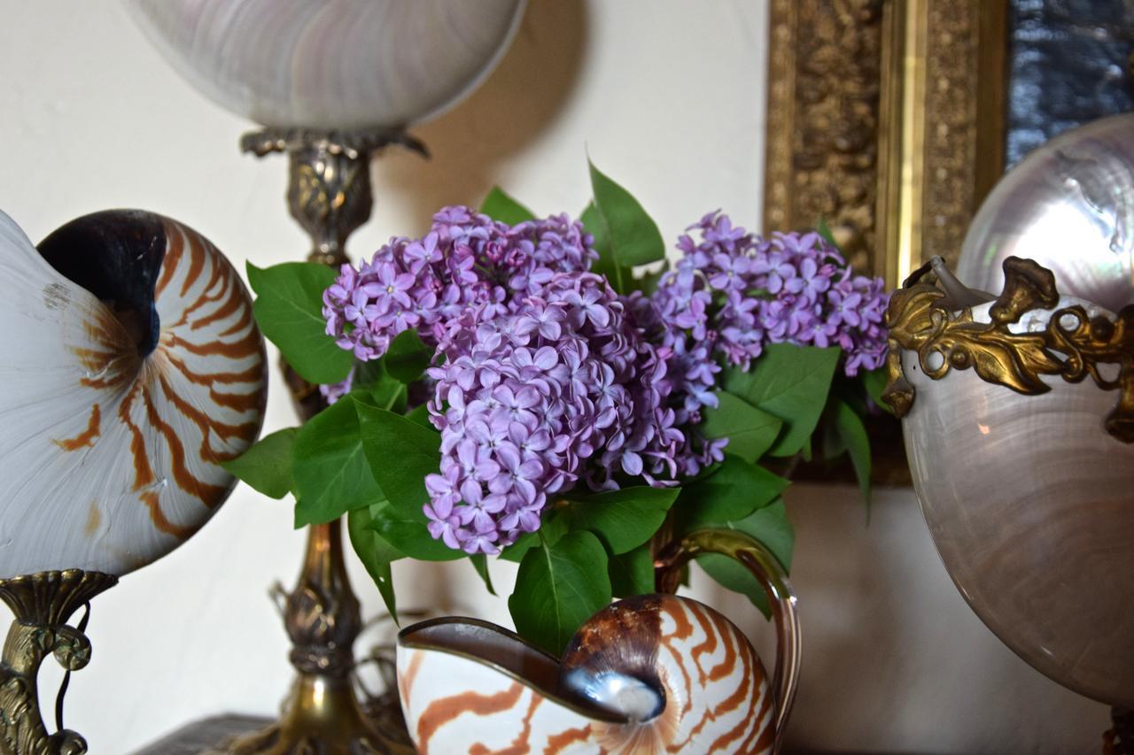 Palazzina Del Chiasso Bed & Breakfast San Martino in Freddana Luaran gambar